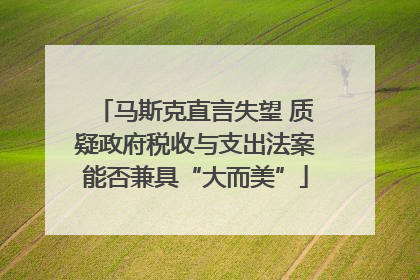 马斯克直言失望 质疑政府税收与支出法案能否兼具“大而美”