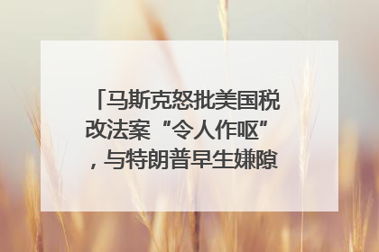 马斯克怒批美国税改法案“令人作呕”，与特朗普早生嫌隙？｜国际识局