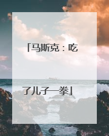 马斯克：吃了儿子一拳