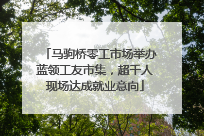 马驹桥零工市场举办蓝领工友市集，超千人现场达成就业意向