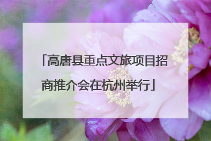 高唐县重点文旅项目招商推介会在杭州举行