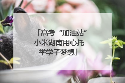 高考“加油站” 小米湖南用心托举学子梦想
