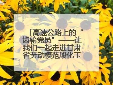 高速公路上的“齿轮党员”——让我们一起走进甘肃省劳动模范殷化玉的故事