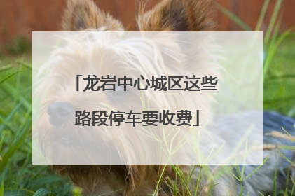 龙岩中心城区这些路段停车要收费