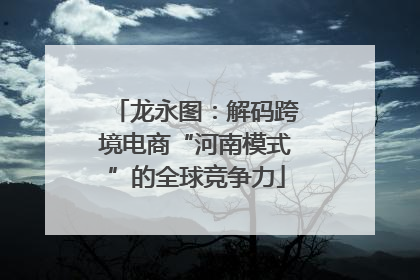 龙永图：解码跨境电商“河南模式”的全球竞争力