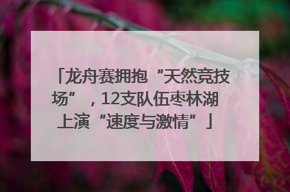 龙舟赛拥抱“天然竞技场”，12支队伍枣林湖上演“速度与激情”