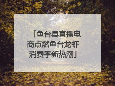 鱼台县直播电商点燃鱼台龙虾消费季新热潮