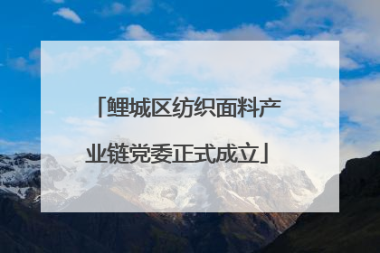 鲤城区纺织面料产业链党委正式成立