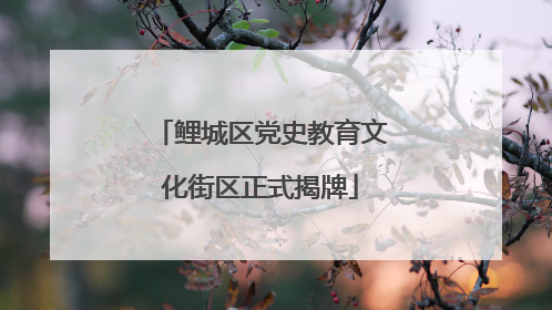鲤城区党史教育文化街区正式揭牌