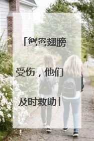 鸳鸯翅膀受伤，他们及时救助