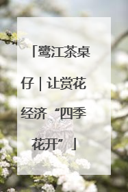鹭江茶桌仔｜让赏花经济“四季花开”