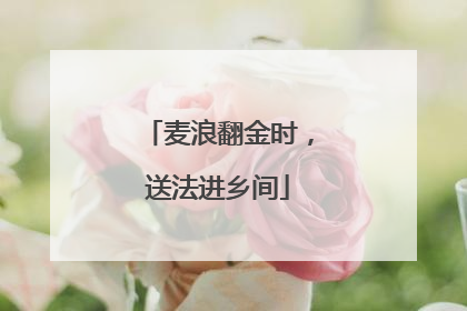 麦浪翻金时，送法进乡间