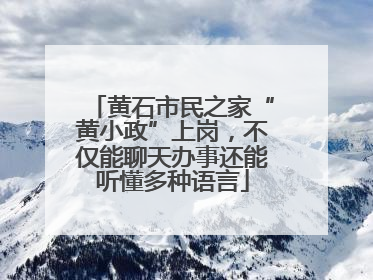 黄石市民之家“黄小政”上岗，不仅能聊天办事还能听懂多种语言