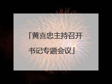 黄喜忠主持召开书记专题会议