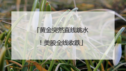 黄金突然直线跳水！美股全线收跌