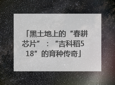 黑土地上的“春耕芯片”：“吉科稻518”的育种传奇