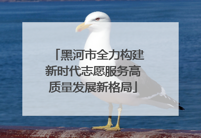 黑河市全力构建新时代志愿服务高质量发展新格局