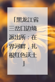 黑龙江省三岔口边境派出所：在界河畔，扎根红色沃土