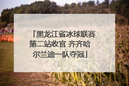 黑龙江省冰球联赛第二站收官 齐齐哈尔兰迪一队夺冠