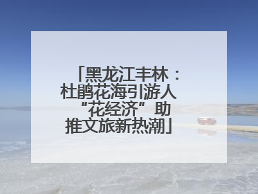 黑龙江丰林：杜鹃花海引游人 “花经济”助推文旅新热潮