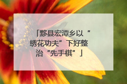黟县宏潭乡以“绣花功夫”下好整治“先手棋”