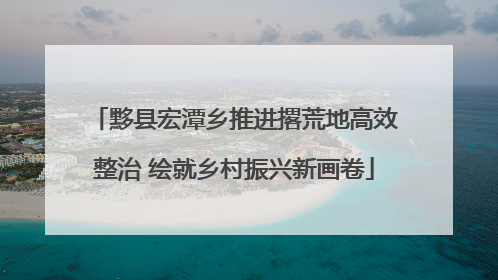 黟县宏潭乡推进撂荒地高效整治 绘就乡村振兴新画卷
