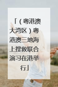 （粤港澳大湾区）粤港澳三地海上搜救联合演习在港举行