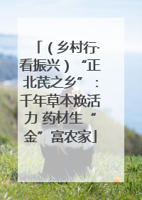 （乡村行·看振兴）“正北芪之乡”：千年草本焕活力 药材生“金”富农家