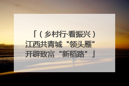 （乡村行·看振兴）江西共青城“领头雁”开辟致富“新稻路”
