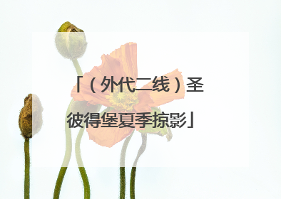 （外代二线）圣彼得堡夏季掠影