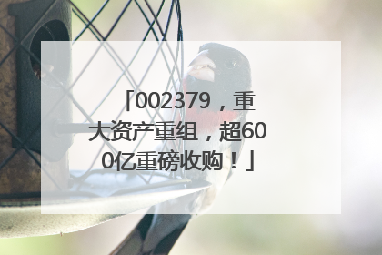 002379，重大资产重组，超600亿重磅收购！