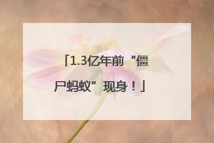 1.3亿年前“僵尸蚂蚁”现身！
