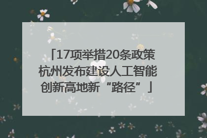 17项举措20条政策 杭州发布建设人工智能创新高地新“路径”