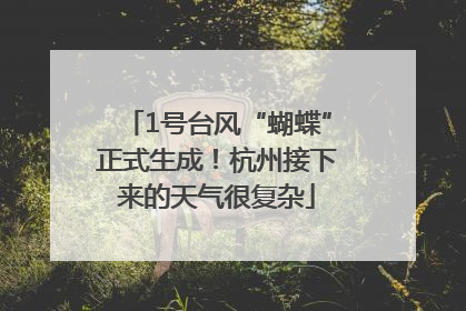 1号台风“蝴蝶”正式生成！杭州接下来的天气很复杂