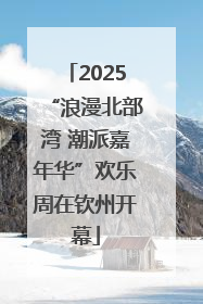 2025“浪漫北部湾 潮派嘉年华”欢乐周在钦州开幕