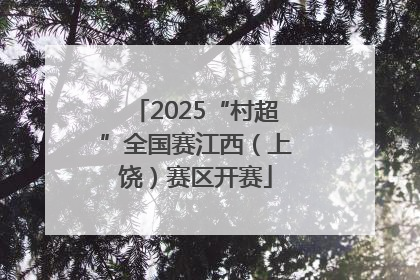 2025“村超”全国赛江西（上饶）赛区开赛