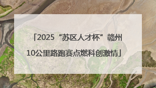 2025“苏区人才杯”赣州10公里路跑赛点燃科创激情
