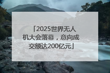 2025世界无人机大会落幕，意向成交额达200亿元