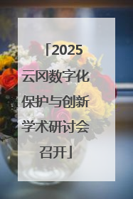 2025云冈数字化保护与创新学术研讨会召开