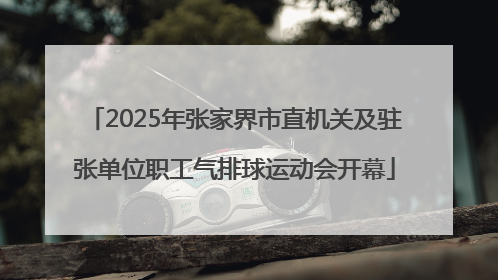 2025年张家界市直机关及驻张单位职工气排球运动会开幕