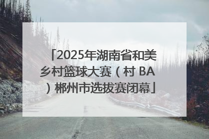 2025年湖南省和美乡村篮球大赛（村 BA）郴州市选拔赛闭幕