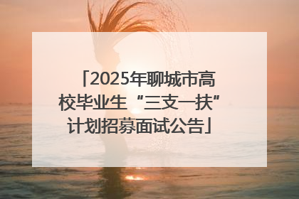 2025年聊城市高校毕业生“三支一扶”计划招募面试公告