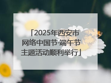 2025年西安市网络中国节·端午节主题活动顺利举行