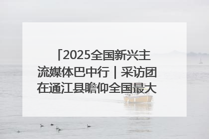 2025全国新兴主流媒体巴中行｜采访团在通江县瞻仰全国最大红军烈士陵园