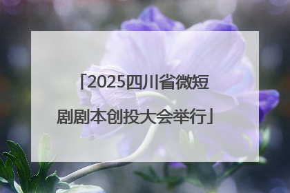 2025四川省微短剧剧本创投大会举行