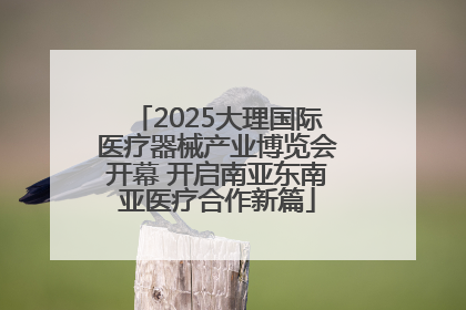 2025大理国际医疗器械产业博览会开幕 开启南亚东南亚医疗合作新篇