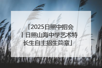 2025日照中招会丨日照山海中学艺术特长生自主招生简章