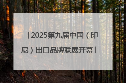 2025第九届中国（印尼）出口品牌联展开幕