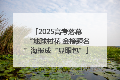 2025高考落幕 “地球村花 金榜题名”海报成“显眼包”