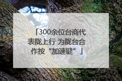 300余位台商代表陇上行 为陇台合作按“加速键”
